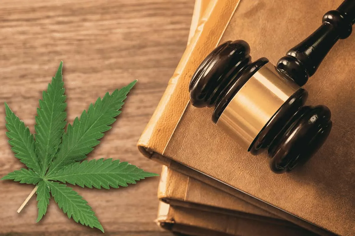 Il CBD è legale?