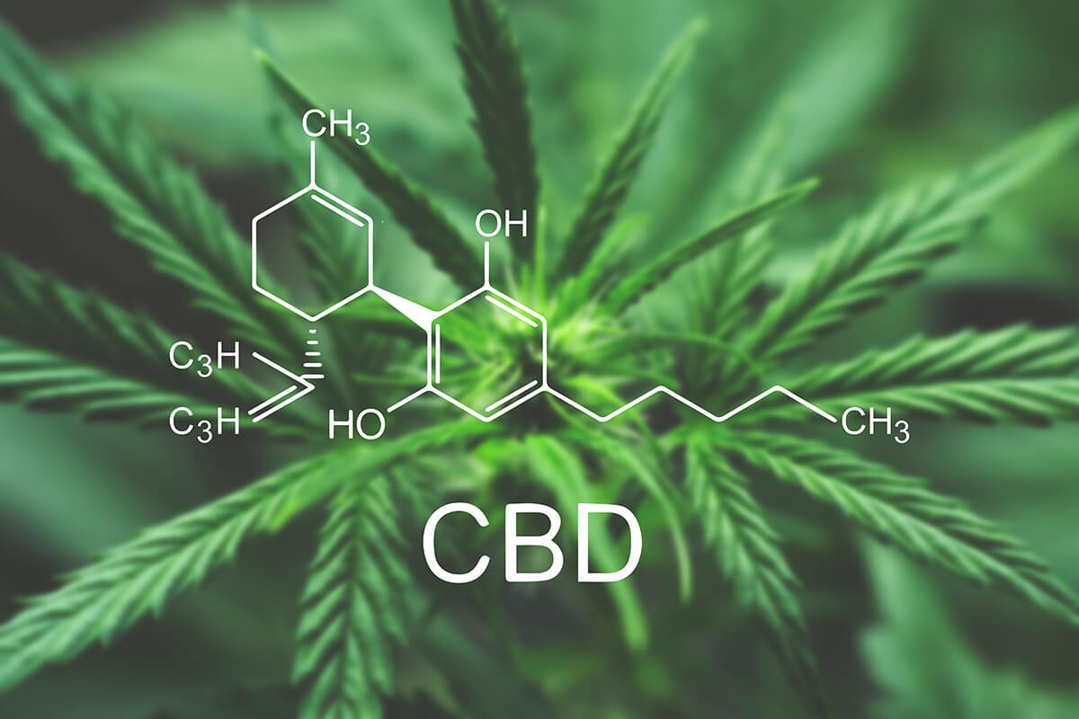 Cos’è esattamente il CBD?