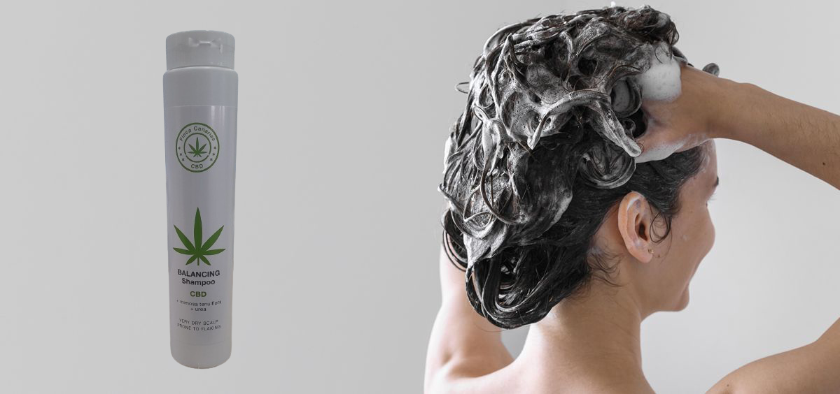 Exploring the Benefits and Secrets of CBD Shampoos